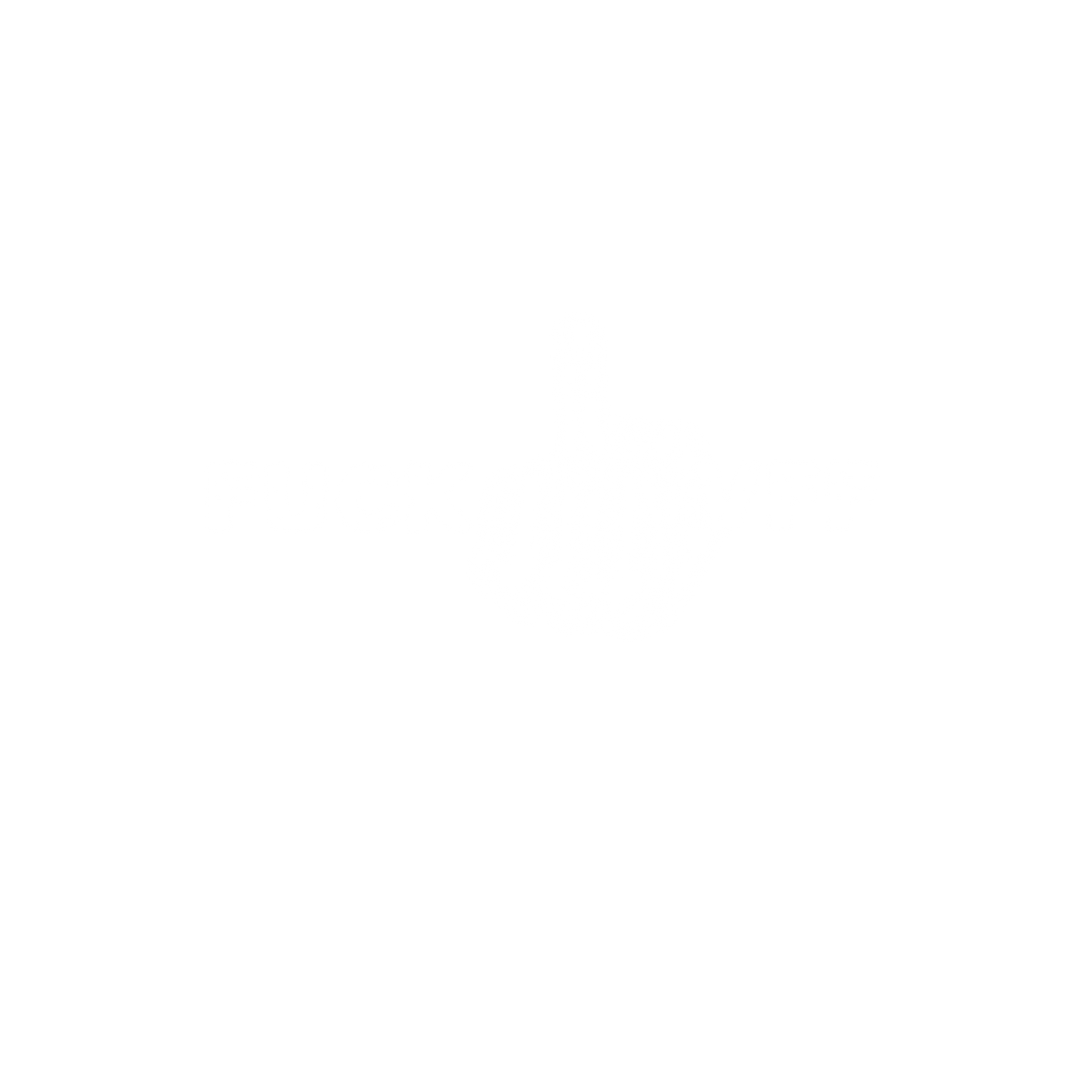 Fuck VFF (mellemfinger) - T-shirt